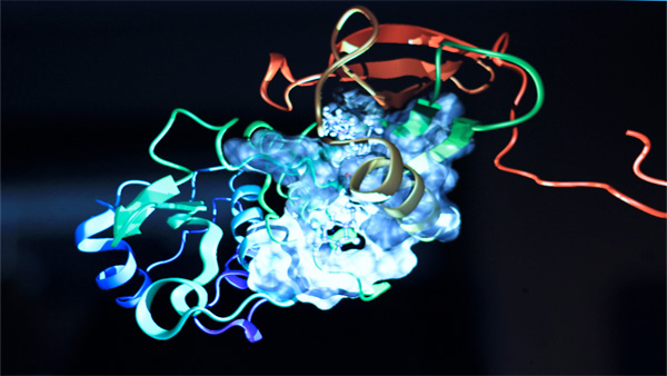 Future Lab: 3D Molecular Visualization